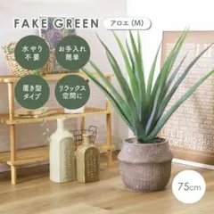 フェイクグリーン アロエ M セメントポット 75cm - メルカリ