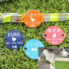 【猫　ブラブラしないペット用ネームタグ】 迷子札 名札　首輪 犬 猫