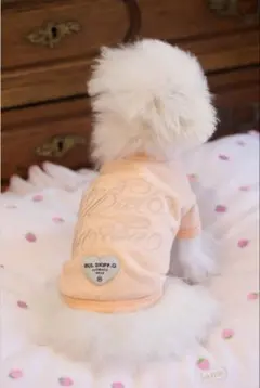 2026年最新】bul bu buの人気アイテム - メルカリ