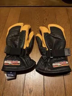 Hestra Alpine Pro グローブ GORE-TEX サイズ9 - メルカリ