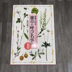 Item thumbnail for item 55615e7b-ff08-42f8-8b82-8b2196945833