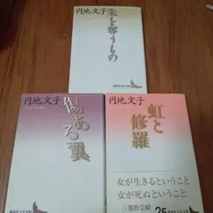 円地文子 朱を奪うもの 傷ある翼 虹と修羅 講談社文芸文庫