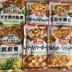 WAKODO 離乳食 5種セット