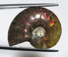 ヒデさん様 リクエスト 3点 まとめ商品