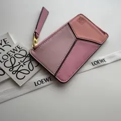 【極上美品】 LOEWE ロエベ 財布 フラグメントケース コインケース