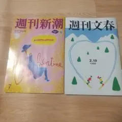 ＴＡＫＥ様 リクエスト 2点 まとめ商品