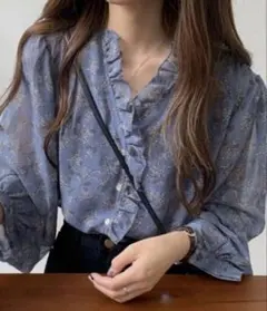 花柄 ボリュームスリーブ ブラウス シアー素材 フリーサイズ 新品未使用