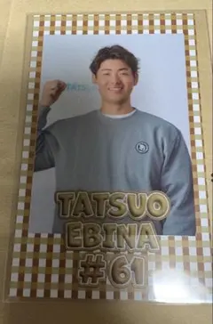 横浜DeNAベイスターズ 蝦名達夫 ラフスタイル選手グッズ カード