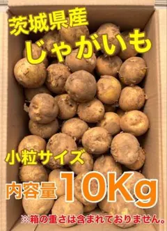 茨城県産　じゃがいも　10Kg　小粒サイズのサムネイル