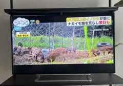 最終お値引き♥【直接お取引限定】TOSHIBA REGZA 40J7 液晶テレビ