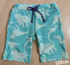 男の子 ボトムス 110cm タオル地 恐竜柄 ターコイズブルー/ BREEZE