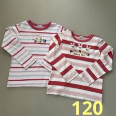 ミキハウス うさこボーダーロンT 2枚セット