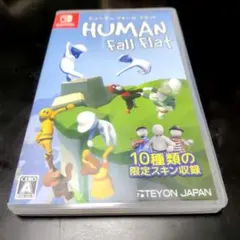 Nintendo Switch Human Fall Flat