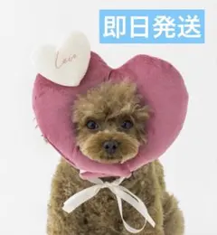 スリーコインズ PET ME ハート 顔ハメ ピンク