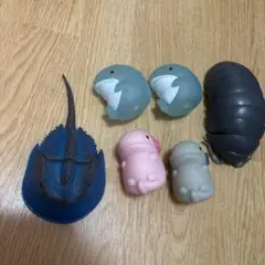 カブトガニ・サメ・ウーパールーパー ・ダンゴムシ 6点セット