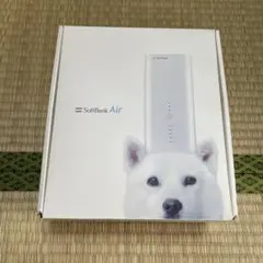 SoftBank Air 4 ソフトバンクエアー 動作確認済み 箱あり