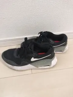 Nike AIR MAX ブラック/スニーカー