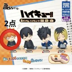 肩ズンFig. ハイキュー!! 制服 日向翔陽　2点まとめ