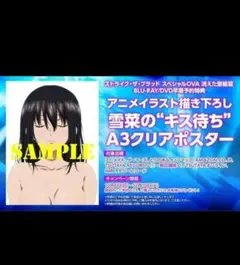 ストライク・ザ・ブラッドⅢ 早期予約特典 A3 クリアポスター - メルカリ