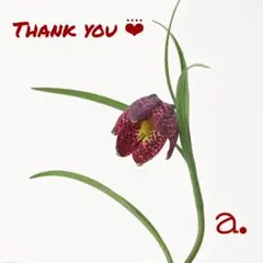 華様 リクエスト 2点 まとめ商品