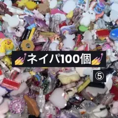 ネイパ100個