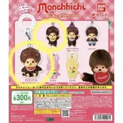 モンチッチ めじるしアクセサリー2 モンチッチくんセット