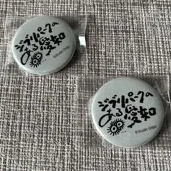 スタジオジブリ 缶バッジ　2個セット　ジブリパーク　新品未開封　非売品　匿名配送