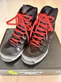 Item thumbnail for item 2b20eb3c-df57-4574-a99b-ee1079aad4a2