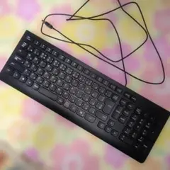 Lenovo 有線キーボード 本体 日本語配列 フルサイズ 黒 ブラックのサムネイル