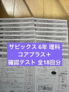 コアプラス テスト 6年