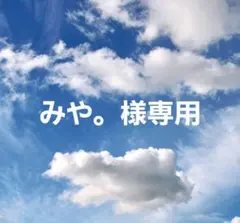 みや。様専用