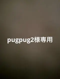 チビライオンのブローチ