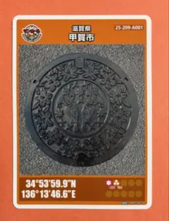 Item thumbnail for item ff655509-920a-4046-8bb1-f14a0a6e97c8