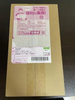 ポケモンセンター　ヒロシマスペシャルBOX 新品