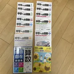 Item thumbnail for item 71107a0c-162a-47b8-b288-2f71136dbec6