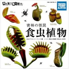 marcuchoo様 リクエスト 2点 まとめ商品