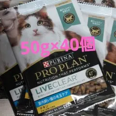 Item thumbnail for item 483a6276-6769-45f2-ba6b-46d9288e89eb