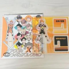 2026年最新】アクリルフィギュアコレクション ハイキュー 日向の人気