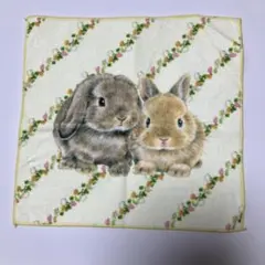 しらとあきこ⭐︎写真全部セット 2026年最新】しらとあきこの人気アイテム - メルカリ