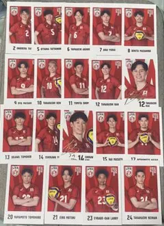バレーボール男子日本代表 カードまとめ売り