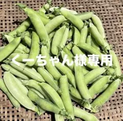 くーちゃん様専用