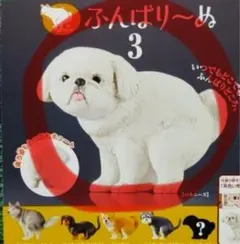 ふんばりーぬ3 ペキニーズ カプセルトイ