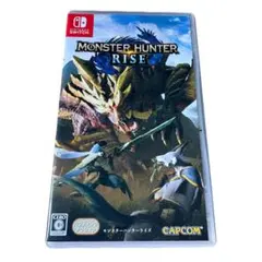 モンスターハンターライズ Switchソフト 動作確認済 美品