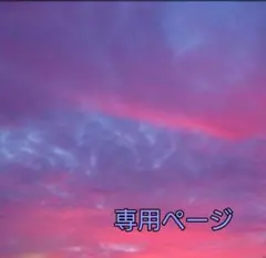 chun様 専用ページです