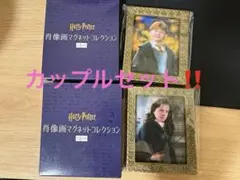 ハリーポッター 肖像画マグネットコレクション ロンとハーマイオニー・グレンジャー