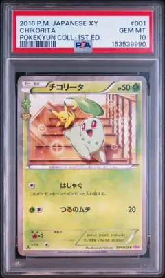 2026年最新】チコリータ psa10の人気アイテム - メルカリ