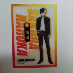 桜 遥 ウィンドブレイカー クリアカードコレクション