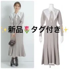 アプワイザーリッシェ　新品　２ＷＡＹ衿付きニットワンピース