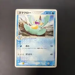 ポケモンカード ヌマクロー ミズゴロウデッキ 005/019 7x2 - メルカリ
