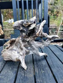 Item thumbnail for item 82bc3c5a-1916-4652-8468-0f61f16ee2d9